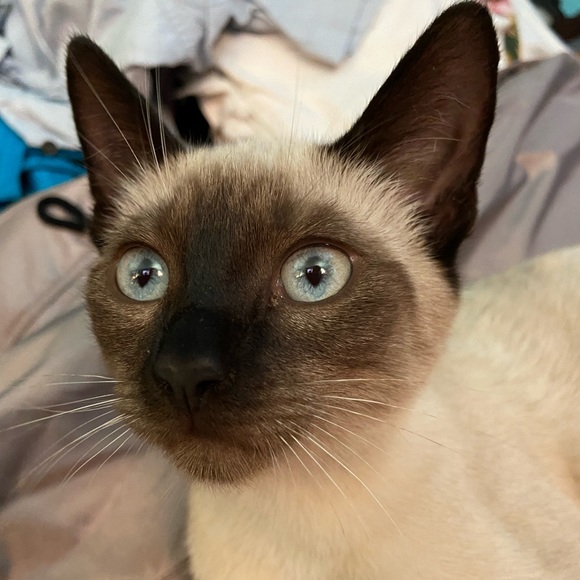 Meet your Posher, Janice - Picture 4 of 16